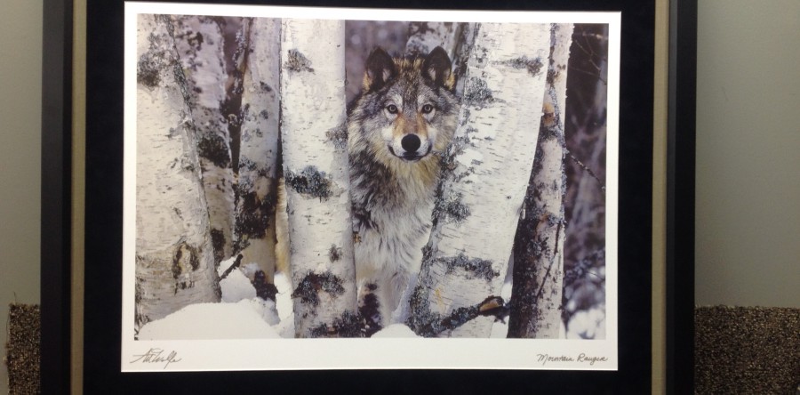 Print Custom Framed with Two Frames