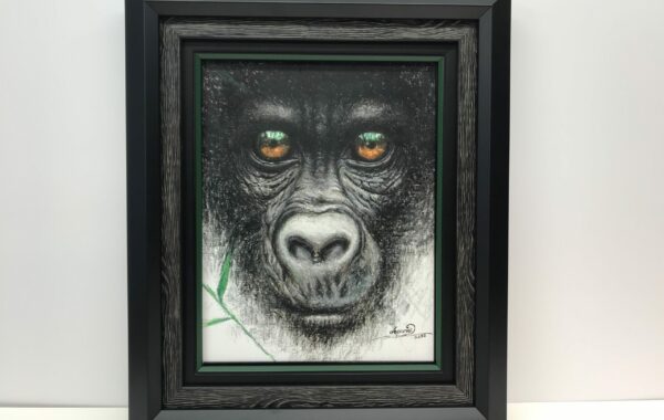 Gorilla Canvas with 3 frames